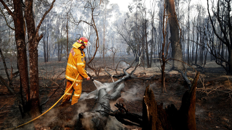 Talking about climate change is not an insult to bushfire victims