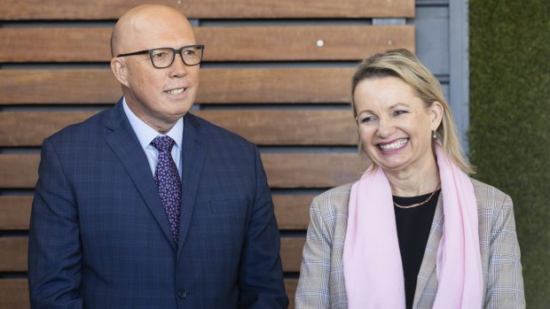 ‘Every single teal seat’: Ley’s three-point plan for Liberals to win next election
