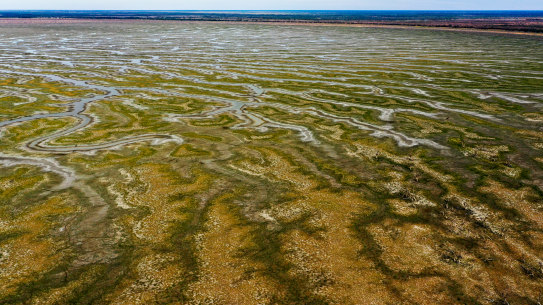 Lake Pamamaroo, part of the Menindee Lake System in western NSW, was all but dry by April this year.