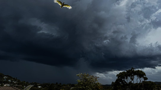 A spring storm hits Sydney on Monday.