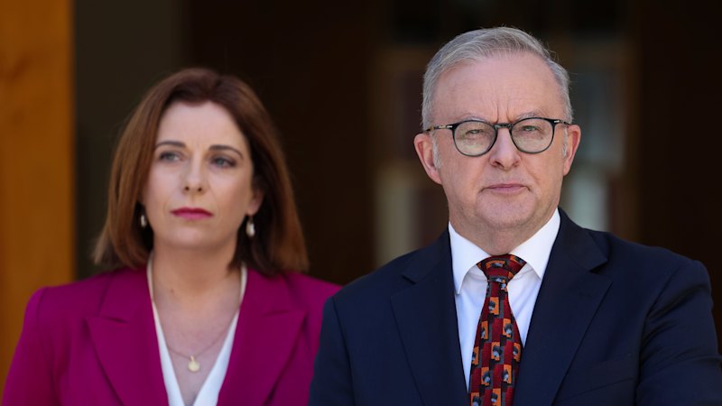 ‘I don’t write the rules’: Wells defends claiming expenses to take family to ski resort