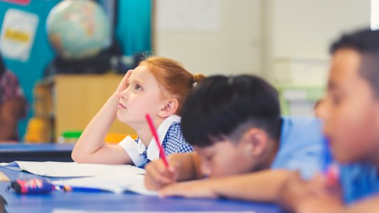 The study covered 59 schools, most of which were primary schools.