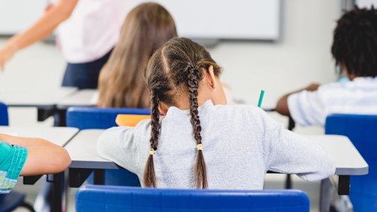 'Broke my heart': Canberra principals join calls to replace NAPLAN