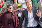 The Duke and Duchess of Sussex have taken issue with being described as “former royals” and “hate” the term “working royals”.