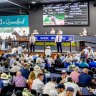 The Magic Millions auditorium where more than 1000 horses will be sold this week.