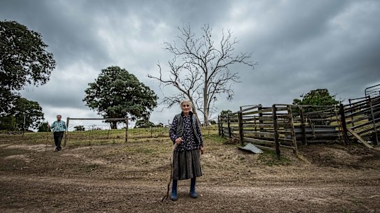 Greek farmers Apostolic (Paul) and Evgnosia (Effie) Tsagalidis on their 20 acre property in Plenty. Urban sprawl and development is closing in on them with pressure to sell their farm that they have worked for fifty years.