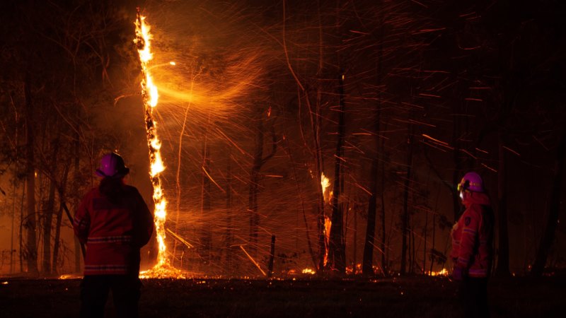 Auto Finance Companies >> NSW bushfires: Earliest total fire ban on record an ominous sign for summer Auto Finance Companies >> NSW bushfires: Earliest total fire ban on record an ominous sign for summer