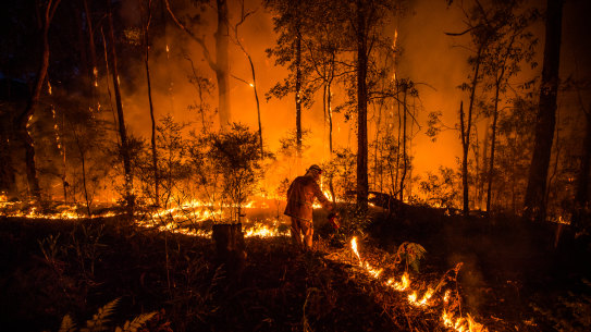 Hazard reduction at Bowen Mountain 