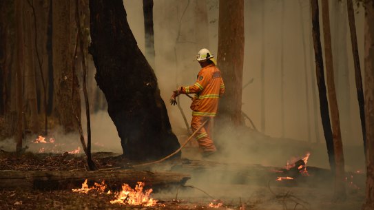 The Bushfires Royal Commission will examine coordination, preparedness for, response to and recovery from disasters. 