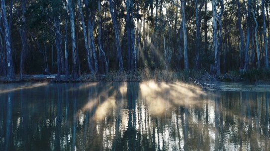 Duxton Water owns and manages a portfolio of water assets focused on the southern Murray-Darling Basin region. 