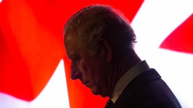 Prince Charles is emerging as a serious replacement as monarch. 