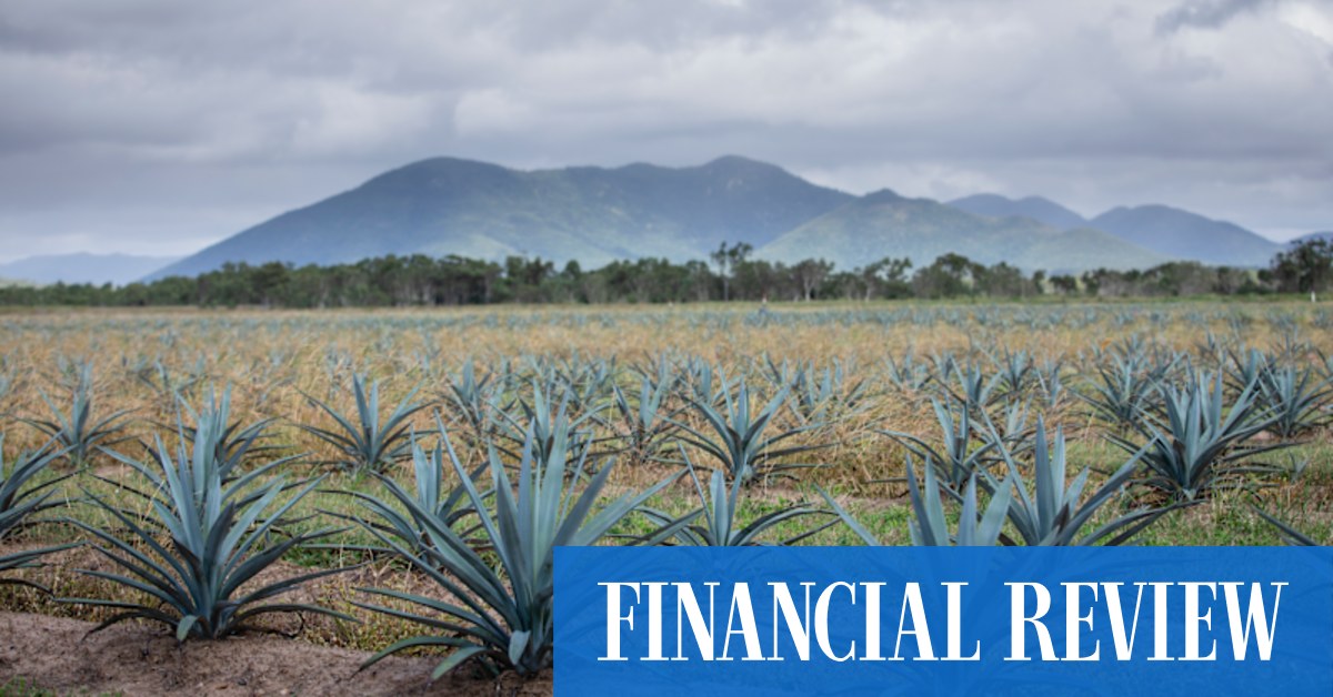 Top Shelf lender Longreach sidesteps $30m approach for its debt