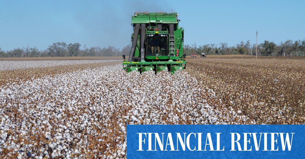 The takeover: Louis Dreyfus bankers up for Namoi Cotton fight - Vimarsana News