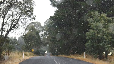 Snow flurries begin to fall in isolated high spots in the Central Tablelands near Black Springs.