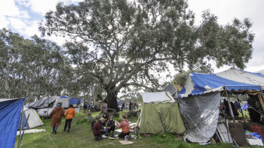 Protester Numbers Surge At Sacred Tree Site As Eviction Clash Looms