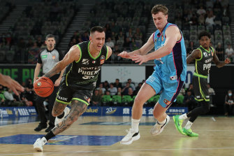 Mitch Creek starred for South East Melbourne Phoenix in their win over the New Zealand Breakers.