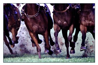 Racing returns to Scone on Tuesday with a  seven-race card.