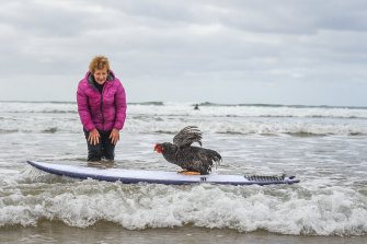 If everybody had a notion: Elaine Janes and her surfing hen, Mrs Chook.