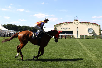 James McDonald rides Nature Strip near the starting gates in The King’s Stand Stakes.