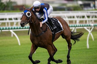 Kyle Wilson-Taylor rides Gypsy Goddess to victory last start at Eagle Farm.