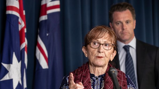 Member for Lismore Janelle Saffin and NSW Labor Leader Chris Minns, during a doorstop at State Parliament, on the latest flood developments in late March.