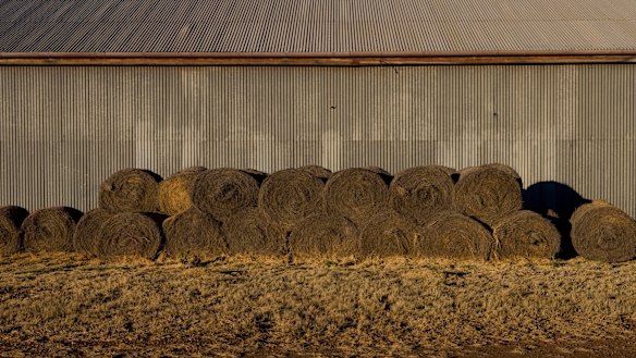 Consolidated Pastoral, once owned by Kerry Packer, was put on the market by British private equity group Terra Firma.