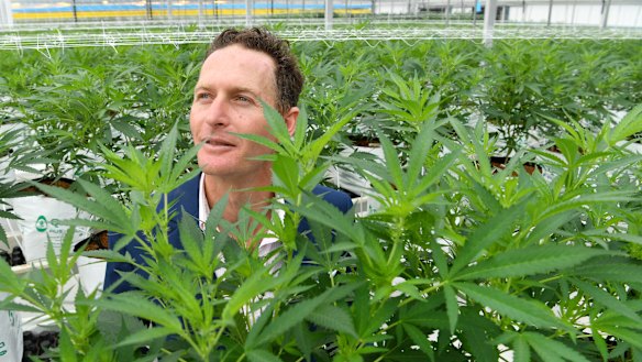 Medifarm founding director Adam Benjamin.