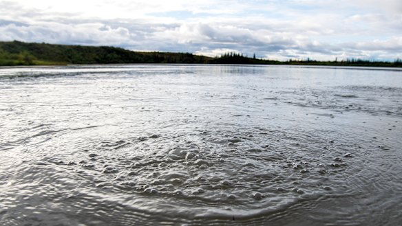 Methane gas released from seep holes at the bottom Esieh Lake ripples the surface. 