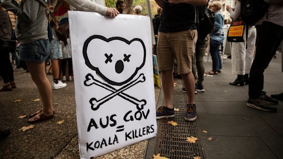 The loss of wildlife, especially Koala Bears, were the focal point for this protest sign.