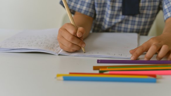 The NSW government will place tutors in all public schools next year.