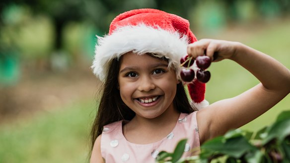 This year's cherry crop is down in numbers but up in flavour. 