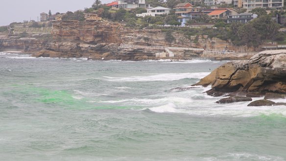 Bright green dye is used to identify a rip at Tamarama beach. 