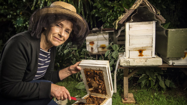 Allyson Apte, a beekeeper from Turramurra, has over 100,000 bees. 