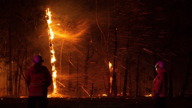 Bushfire season has come early this year - with the first total fire bans announced almost two weeks earlier than in any previous year.