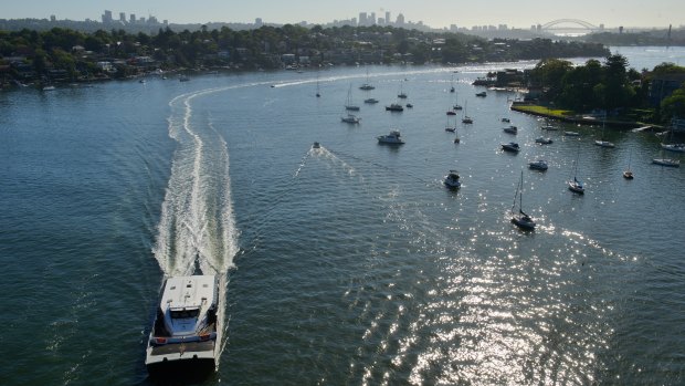 A population boom along the banks of the Parramatta River is adding to demand for ferry services.