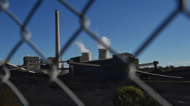 AGL's Bayswater Power Station in the NSW Hunter Valley.
