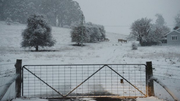 Snow fell south of Oberon around Black Springs on Friday morning.