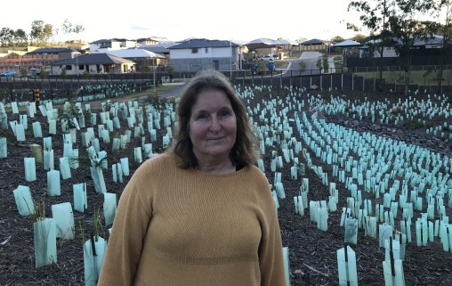 Dr Conny Turni questions why koala habitat is clear-felled and not planned to include wildlife corridors.