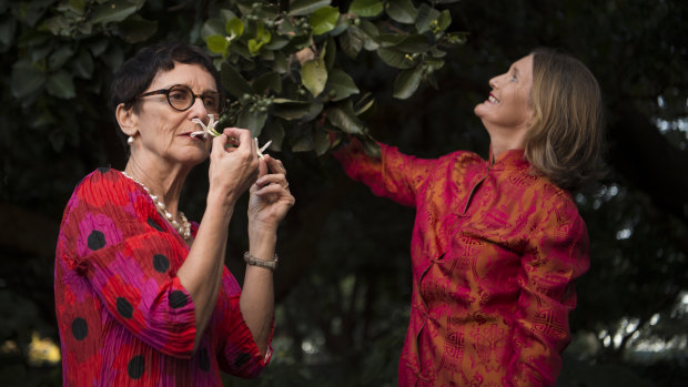 Mary Threlfall, right, and perfume consultant Catherine du Peloux Menage will guide visitors through a Perfume Walk at the Royal Botanic Gardens. 