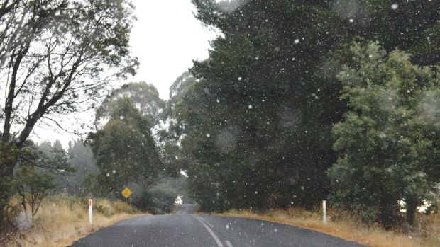 Snow flurries begin to fall in isolated high spots in the Central Tablelands near Black Springs.