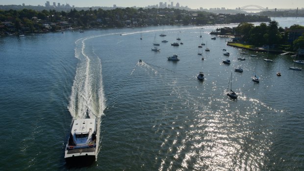 A population boom along the banks of the Parramatta River is adding to demand for ferry services.