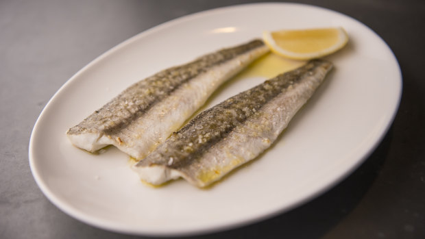 Grilled whiting fillets at Totti's.
