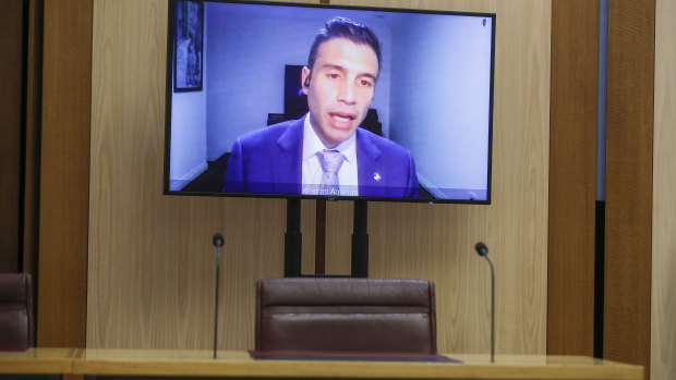 Kristian Aquilina, GM Holden Interim Chairman and Managing Director, appearing via videoconference during a Senate hearing on General Motors Holden Operations in Australia. 