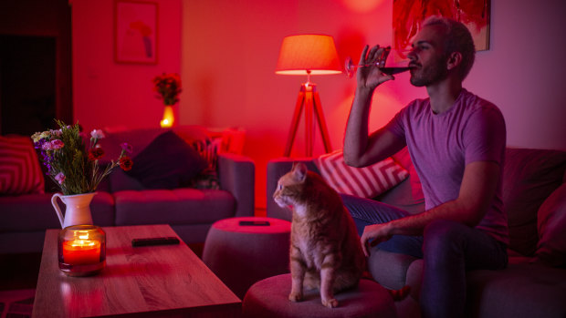 Drinking more while in isolation: Matthew Sherwood in his Rose Bay apartment with his cat Archie.