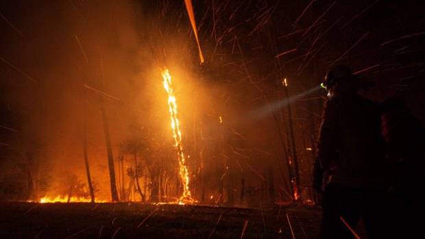 Firefighters have worked overnight on 79 bushfires across NSW, with 32 burning uncontained.