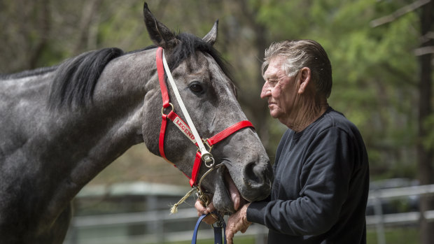 Les Bridge's Classique Legend will be one of the stars to watch at Randwick on Saturday.