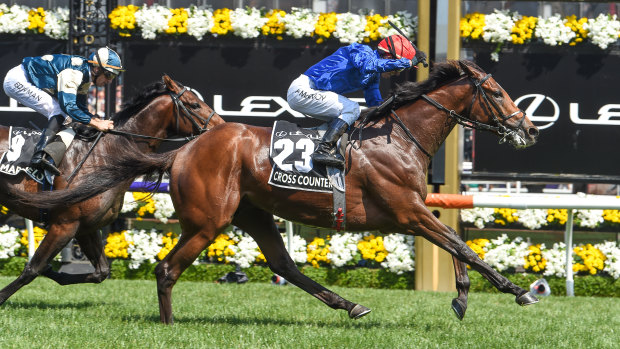 Cross Counter wins the Melbourne Cup.
