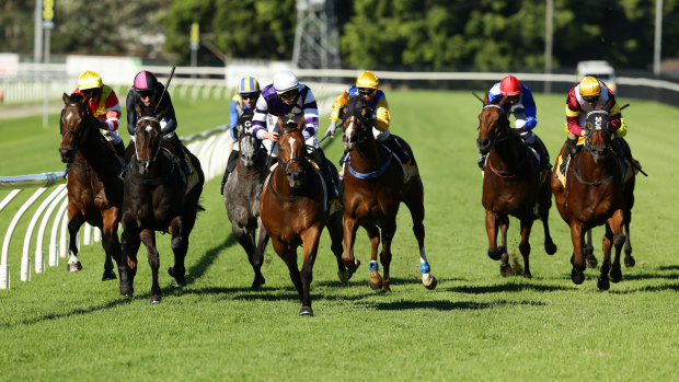 Tuesday joy: seven races are programmed at Newcastle.
