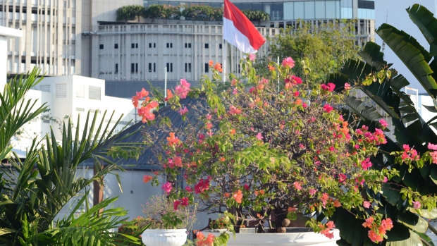 The Indonesian flag flies over the Hotel Majapahit. In 1945, when Dutch colonists raised the colonial red, white and blue flag here, Indonesian nationalists stormed the hotel and tore the blue off the flag. 
