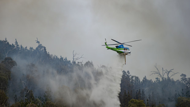 Several types of firefighting aircraft tackled the Pierces Creek Fire in November.